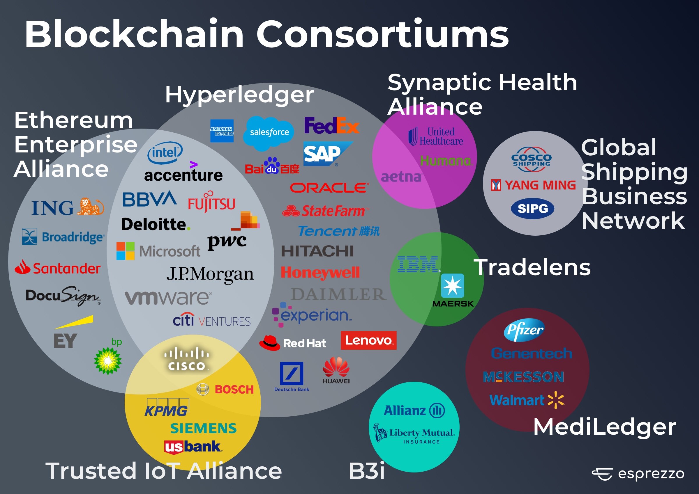 blockchain consortiums infographic by Esprezzo2x