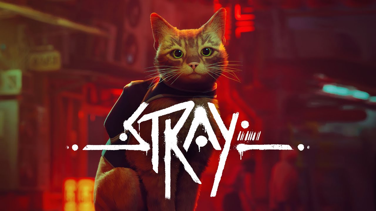 stray_game