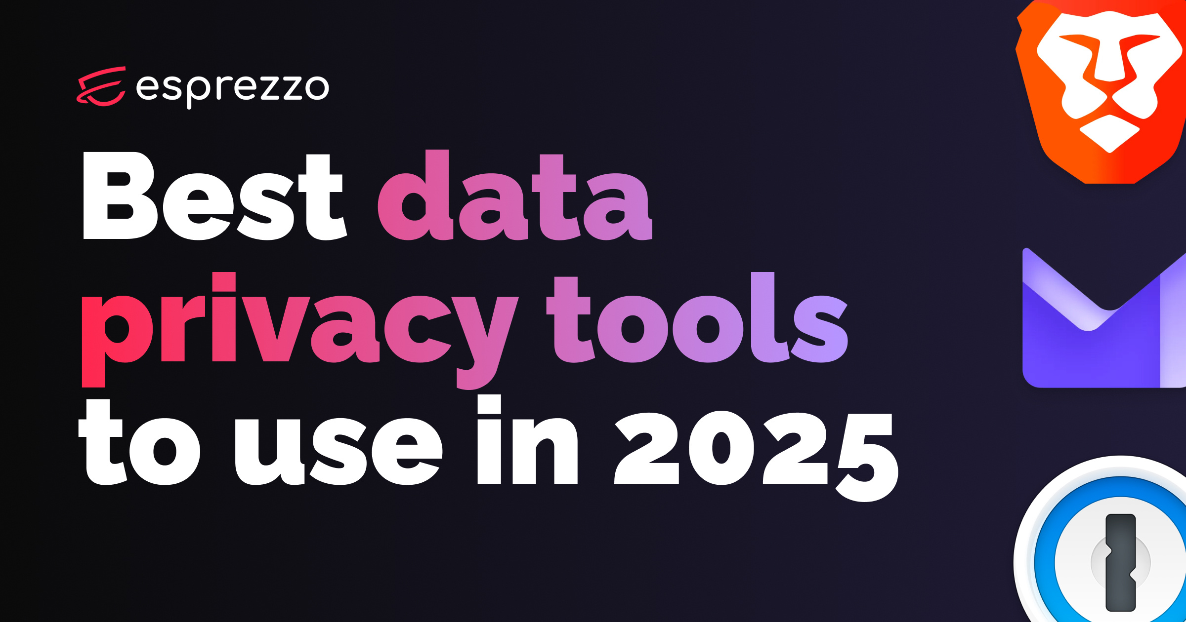 Best data privacy tools 2025